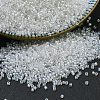 MIYUKI Delica Beads X-SEED-J020-DB1671-1