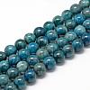 Natural Apatite Beads Strands G-R446-6mm-11-1
