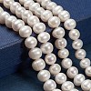 Grade A Natural Cultured Freshwater Pearl Beads PEAR-D026-1-5