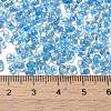 Glass Seed Beads SEED-K009-08B-01-4