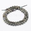 Natural Labradorite Beads Strands G-P322-30-6mm-2