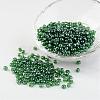 Round 6/0 Glass Seed Beads X-SEED-A006-4mm-107-1