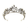 Alloy Rhinestone Crown Hair Bands for Girls Women Wedding Party Decoration HULI-PW0002-007A-1