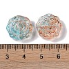 Baking Paint Glass Beads GLAA-S202-14A-3