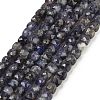 Natural Iolite Beads Strands G-H042-A52-02-1