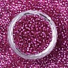 Glass Seed Beads SEED-S042-04A-03-2