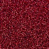 MIYUKI Delica Beads X-SEED-J020-DB0602-3