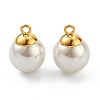 304 Stainless Steel Charms STAS-Z009-02B-G-1