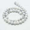 Natural Howlite Beads Strands G-T049-6mm-21-2