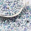 Two Tone Baking Paint Glass Seed Beads SEED-F005-01A-09-1