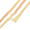 10 Skeins 6-Ply Polyester Embroidery Floss OCOR-K006-A29-3