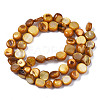 Natural Trochid Shell/Trochus Shell Beads Strands SHEL-S258-083-B09-2