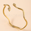 Snake 304 Stainless Steel Cuff Bangles FS-WGA46EE-01-2