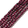 Natural Garnet Beads Strands G-I341-09A-1