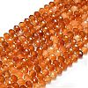 Natural Carnelian Beads Strands G-P573-A53-01-2