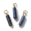Natural Sodalite Pendants STAS-C120-01G-03-1