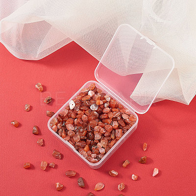 Natural Red Agate Beads G-CJ0001-16-1