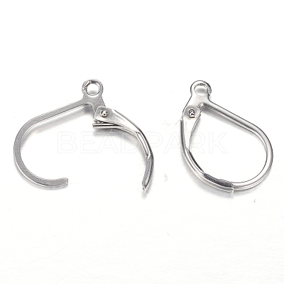 Tarnish Resistant 304 Stainless Steel Leverback Earring Findings X-STAS-M217-03-1