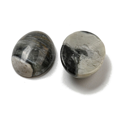 Natural Picasso Jasper Cabochons G-C115-01A-37-1