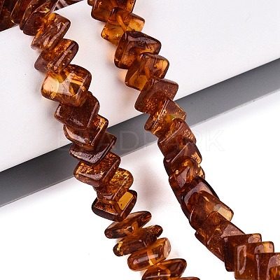 Natural Amber Beads Strands G-N371-12A-02-1