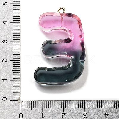 Resin Pendant FIND-Q107-01E-01-1