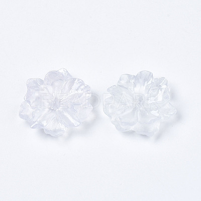 Resin Cabochons LS-RESI-S364-46C-1