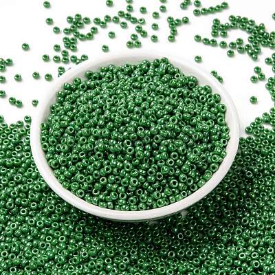 MIYUKI Round Rocailles Beads X-SEED-G008-RR0431-1