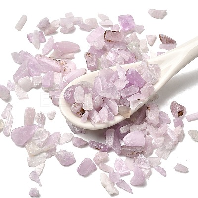 Natural Kunzite Beads G-Z099-A01-1