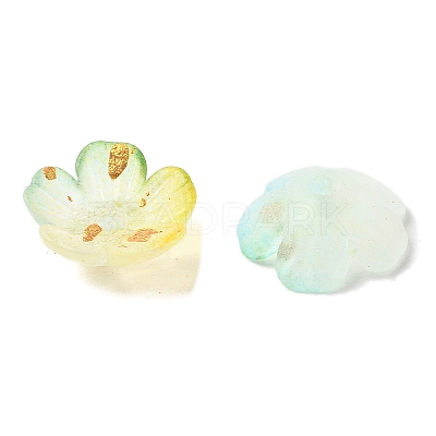 Acrylic Bead Caps OACR-Z028-03G-1