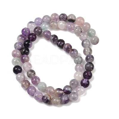 Natural Fluorite Beads Strands G-P530-B04-02A-1