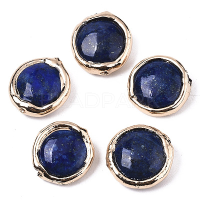 Natural Lapis Lazuli Beads G-S359-111-1