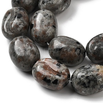 Natural Fluorescent Syenite Rock(Glow under UV Light)  Beads Strands G-K362-D02-03-1