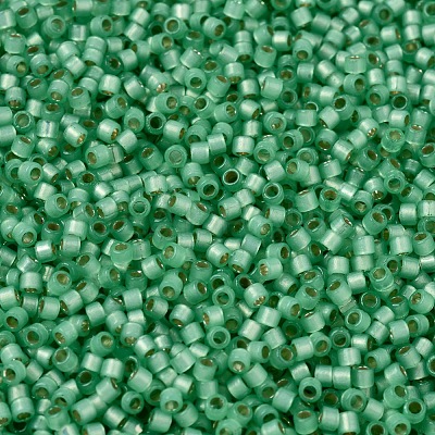 MIYUKI Delica Beads SEED-J020-DB2188-1
