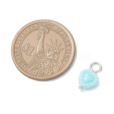 Opaque Acrylic Pendants PALLOY-JF04351-01-1