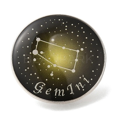 Twelve Constellation Creative Alloy Badges Constellation Brooches LS-JEWB-S033-01P-C-1