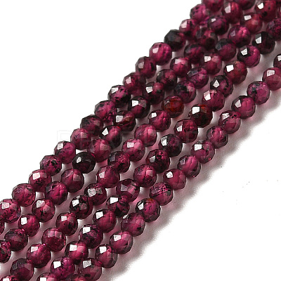 Natural Garnet Beads Strands G-I341-09A-1