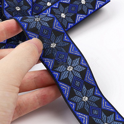 Ethnic Style Embroidery Polyester Ribbons FABR-PW0003-01F-1