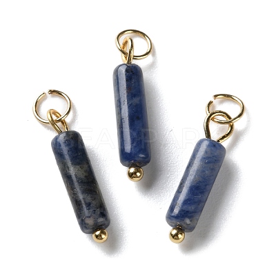 Natural Sodalite Pendants STAS-C120-01G-03-1