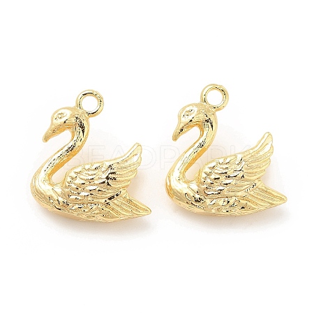 Brass Pendants KK-B062-07G-1