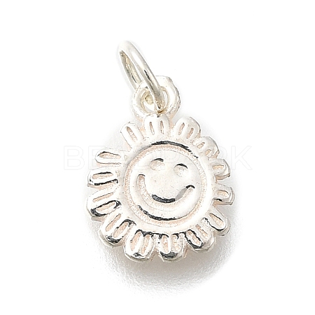 925 Sterling Silver Charms STER-Q003-01A-S-1