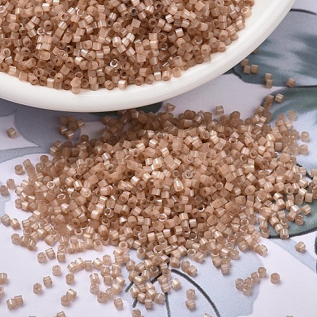 MIYUKI Delica Beads X-SEED-J020-DB1803-1