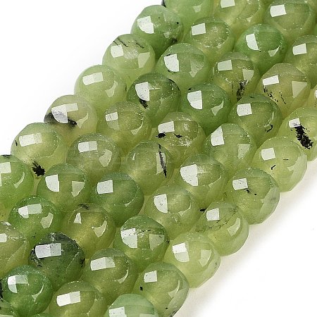 Natural Prehnite Beads Strands G-H028-A05-01-1