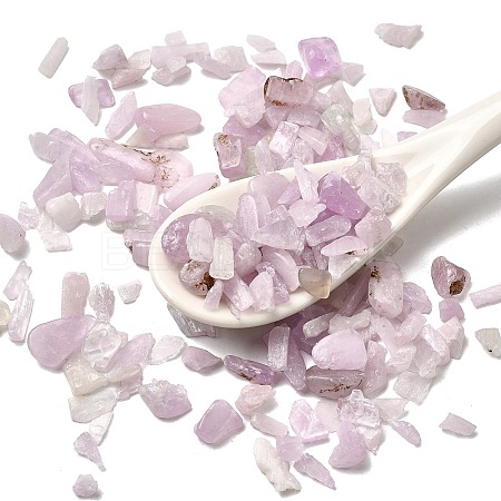 Natural Kunzite Beads G-Z099-A01-1