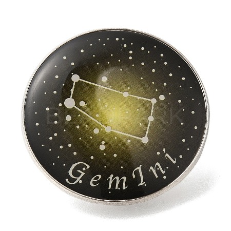 Twelve Constellation Creative Alloy Badges Constellation Brooches LS-JEWB-S033-01P-C-1