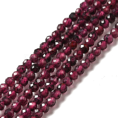 Natural Garnet Beads Strands G-I341-09A-1
