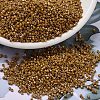 MIYUKI Delica Beads SEED-X0054-DB2273-1