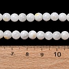 Natural Freshwater Shell Beads Strands SH-CBA2978-07D-04-4