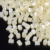 8/0 Two Cut Glass Seed Beads SEED-S033-07A-02-2