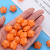 Imitation Jelly Acrylic Beads MACR-S373-87-E05-6