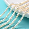 Natural Cultured Freshwater Pearl Beads Strands PEAR-L003-B-03-4